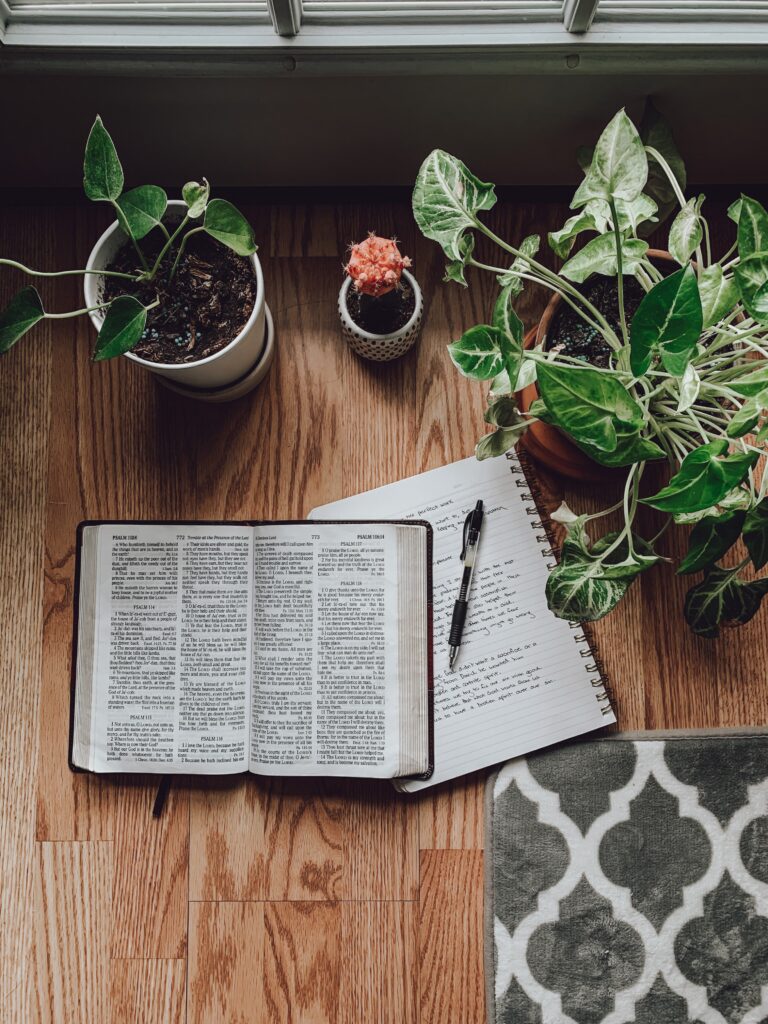 bible study